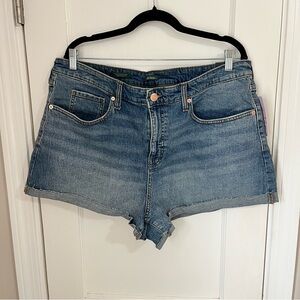 NWT Wild Fable Classic Blue Jean Shorts